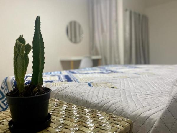 CASA CEMPOAL : photo 3 de la chambre chambre lit king-size