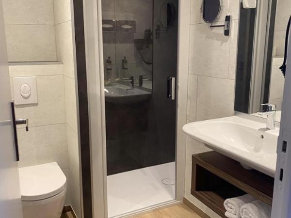 Hotel Europa : photo 6 de la chambre chambre lits jumeaux Élégance - vue sur jardin