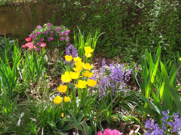 L'Echappée Belle : photo 6 de la chambre chambre quadruple avec salle de bains privative