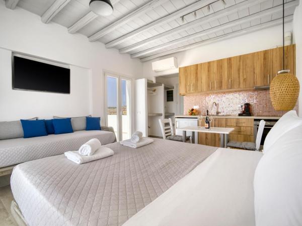 Anius Apartments : photo 6 de la chambre studio deluxe