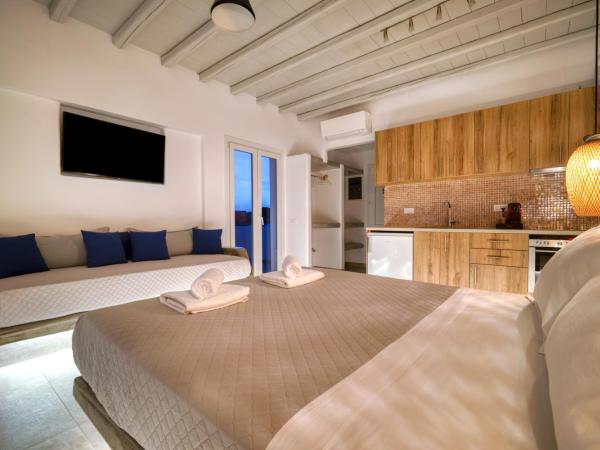 Anius Apartments : photo 7 de la chambre studio deluxe