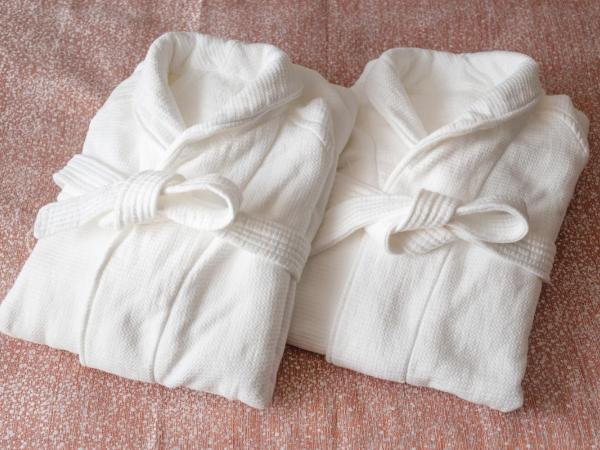 Hotel The Celestine Tokyo Shiba : photo 2 de la chambre chambre double moyenne - non-fumeurs 