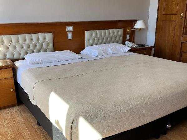 Bristol Hotel : photo 2 de la chambre chambre supérieure - vue sur ville