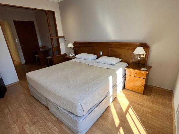 Bristol Hotel : photo 5 de la chambre standard room- large bed- interior view