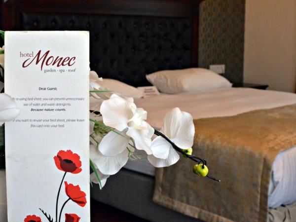 Hotel Monec : photo 4 de la chambre chambre double ou lits jumeaux standard