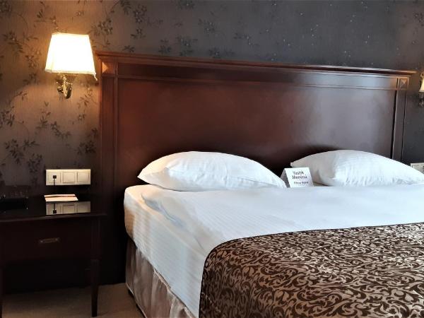 Hotel Monec : photo 5 de la chambre chambre double ou lits jumeaux standard