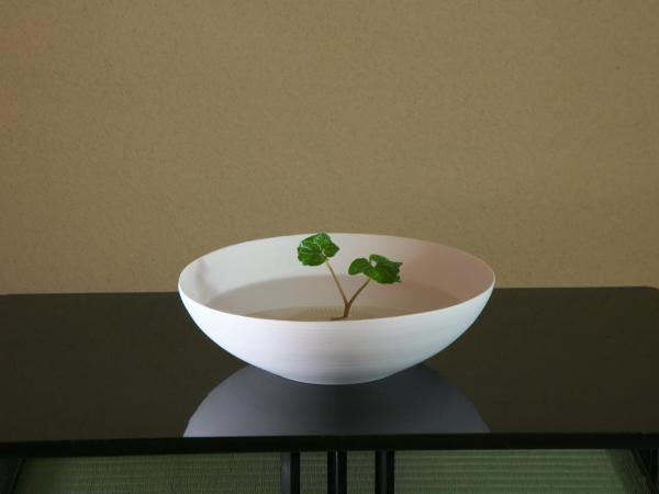 Arima Onsen Takayamaso Hanano : photo 8 de la chambre suite deluxe avec baignoire spa