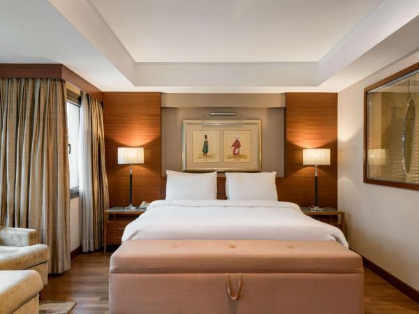 Radisson Blu Bosphorus Hotel : photo 2 de la chambre studio - bâtiment annexe - vue sur ville