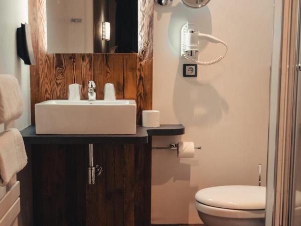 Hôtel le Grillon : photo 2 de la chambre chambre lits jumeaux