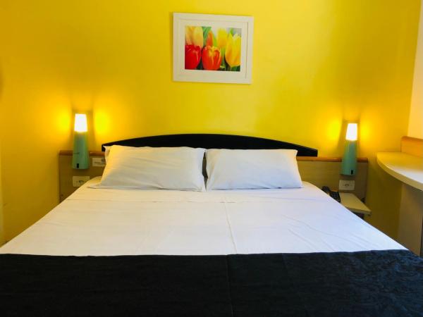 Hotel Blumenau Centro : photo 7 de la chambre chambre double standard avec ventilateur