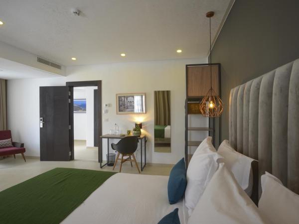 MAIA HOTEL SUITES : photo 6 de la chambre chambre double standard