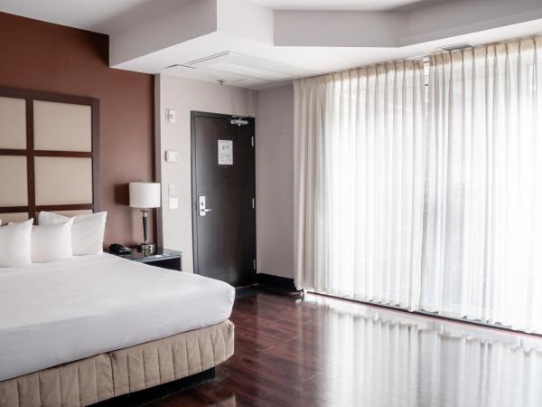 M Montreal Hostel : photo 6 de la chambre chambre lit king-size