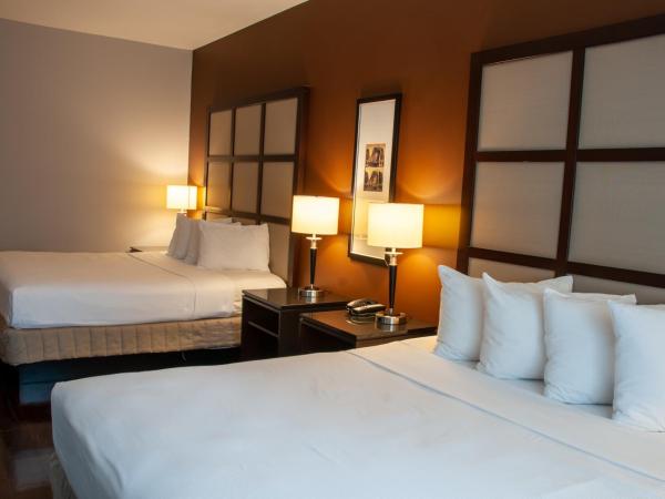 M Montreal Hostel : photo 3 de la chambre appartement 1 chambre avec 2 lits king-size