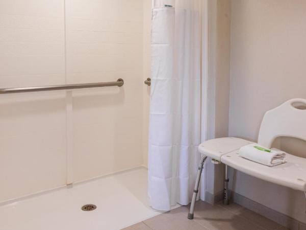 Wyndham Garden Lake Buena Vista Disney Springs® Resort Area : photo 4 de la chambre chambre lit king-size avec douche accessible en fauteuil roulant - adaptée aux personnes à mobilité réduite/non-fumeurs