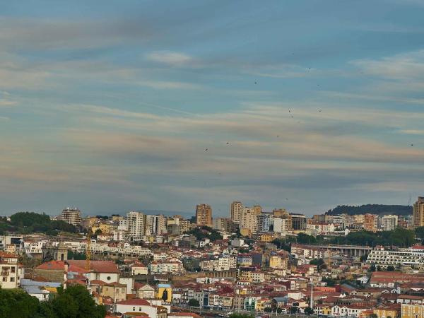 Torel Avantgarde : photo 8 de la chambre suite royale