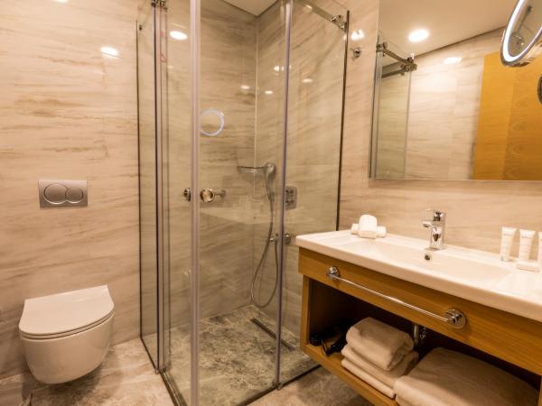 Radisson Hotel Istanbul Harbiye : photo 8 de la chambre chambre lit king-size standard