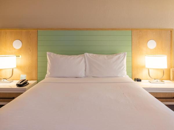 Wyndham Garden Lake Buena Vista Disney Springs® Resort Area : photo 2 de la chambre chambre lit king-size avec douche accessible en fauteuil roulant - adaptée aux personnes à mobilité réduite/non-fumeurs