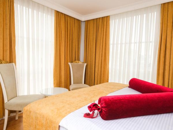 Bilem Hotel Beach & Spa : photo 2 de la chambre chambre double standard