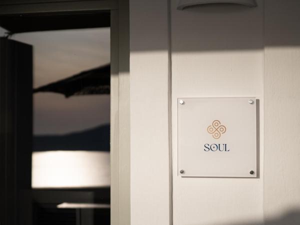 Asha Luxury Suites : photo 6 de la chambre suite junior soul - vue sur caldeira