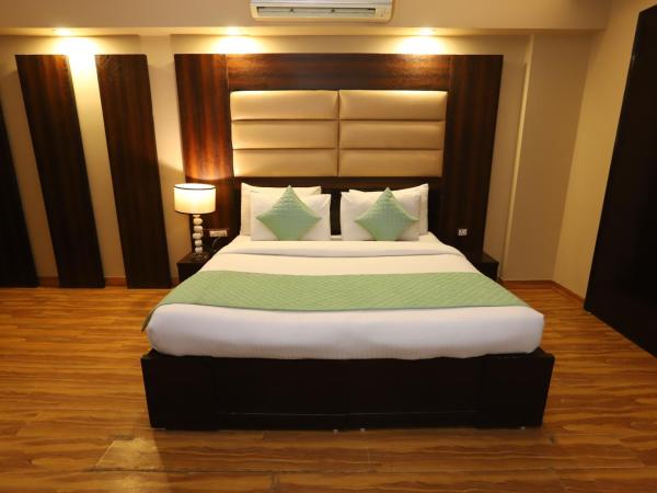 Hotel Palm Grand Naraina New Delhi - Couple Friendly Local IDs Accepted : photo 3 de la chambre chambre double supérieure