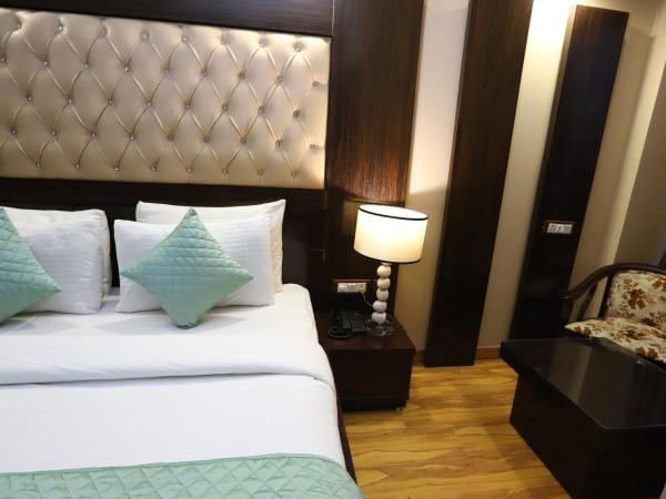 Hotel Palm Grand Naraina New Delhi - Couple Friendly Local IDs Accepted : photo 5 de la chambre chambre double deluxe