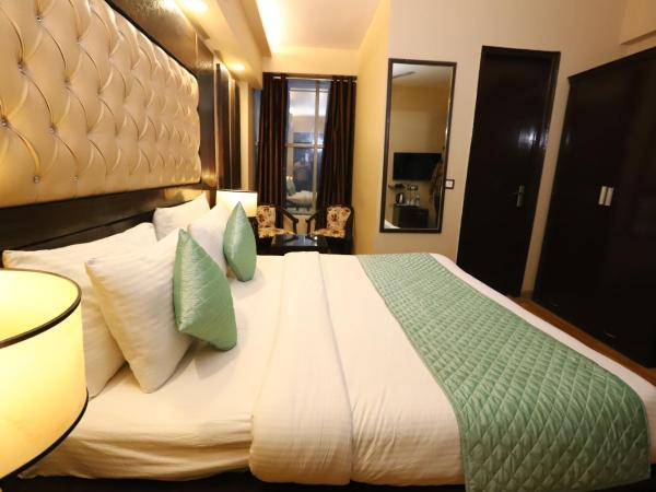 Hotel Palm Grand Naraina New Delhi - Couple Friendly Local IDs Accepted : photo 1 de la chambre chambre double deluxe