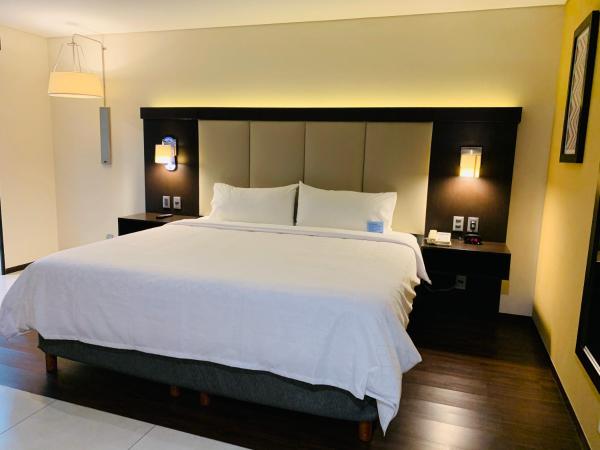 Holiday Inn Express - Mexico Basilica, an IHG Hotel : photo 1 de la chambre chambre lit king-size standard