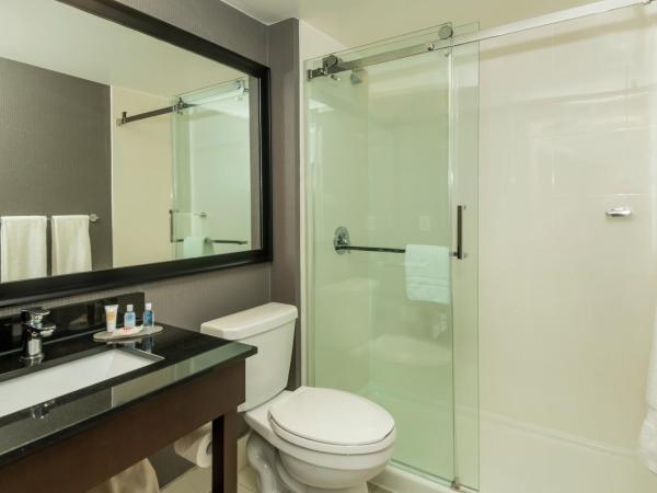 Comfort Inn West : photo 10 de la chambre hébergement lit king-size - non-fumeurs - rez-de-chaussée - animaux domestiques admis