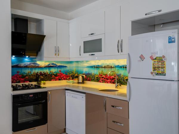 Sare Suites Downtown : photo 6 de la chambre appartement 2 chambres