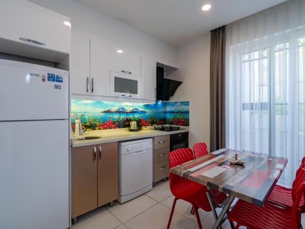 Sare Suites Downtown : photo 8 de la chambre appartement 2 chambres - sous-sol