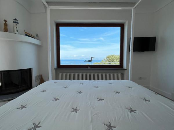 Agapanto Luxury Accommodation : photo 5 de la chambre suite - vue sur mer