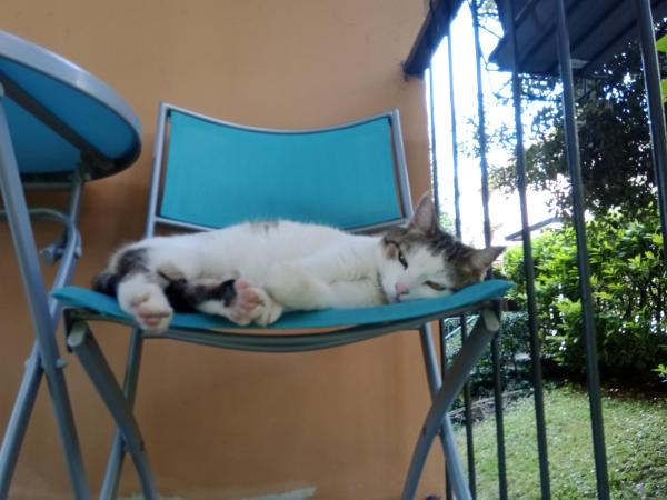 A CASA DI GEMMA : photo 8 de la chambre chambre double