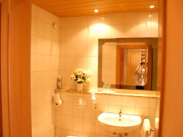 Hotel Edelweiss : photo 3 de la chambre chambre simple