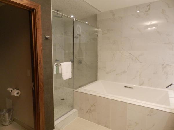 Radisson Hotel & Conference Centre Calgary Airport : photo 7 de la chambre suite 1 chambre lit king-size avec canapé-lit