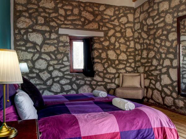 Terrasses vertes : photo 10 de la chambre studio duplex