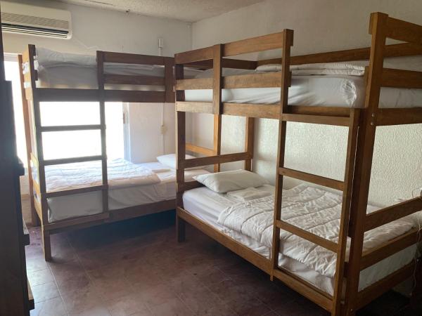 Desert Heart Hostel : photo 4 de la chambre lit dans dortoir mixte de 8 lits 