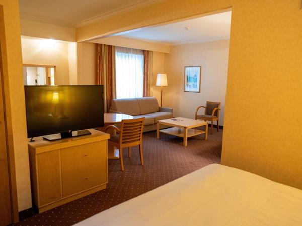 Holiday Inn Gent Expo, an IHG Hotel : photo 8 de la chambre chambre lit king-size exécutive