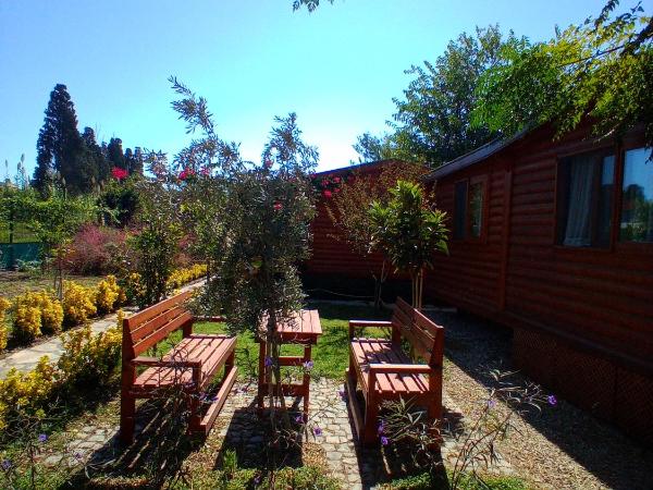 DefneWoodHome : photo 4 de la chambre appartement - vue sur jardin