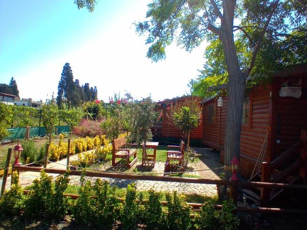 DefneWoodHome : photo 5 de la chambre appartement - vue sur jardin