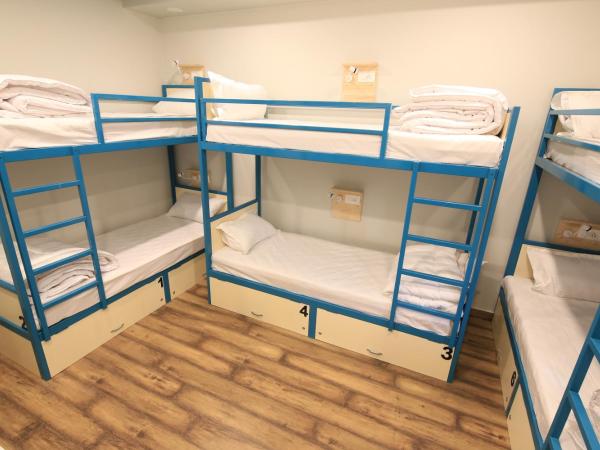 Blue Beds Hostel : photo 5 de la chambre bed in 6 bed a/c female dorm