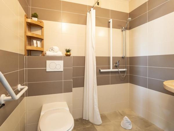 Hôtel Restaurant Le Clos Fleuri : photo 2 de la chambre chambre double - accessible aux personnes à mobilité réduite 