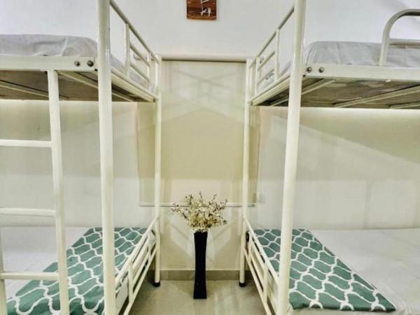 Hostel ivory : photo 2 de la chambre lit dans dortoir mixte de 8 lits