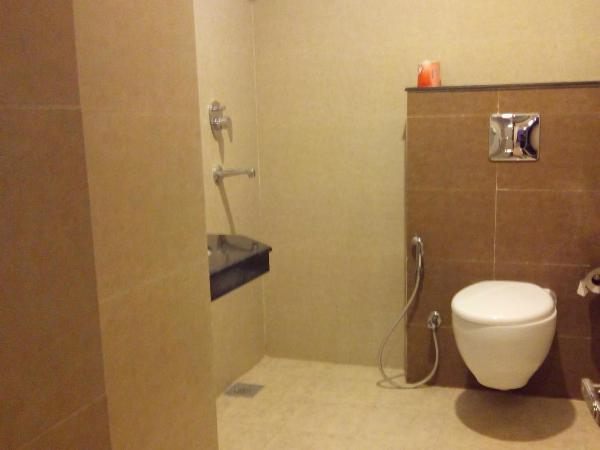 Hotel Regal Airport : photo 5 de la chambre chambre deluxe double ou lits jumeaux