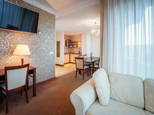 Hotel Kuracyjny Spa & Wellness : photo 4 de la chambre suite
