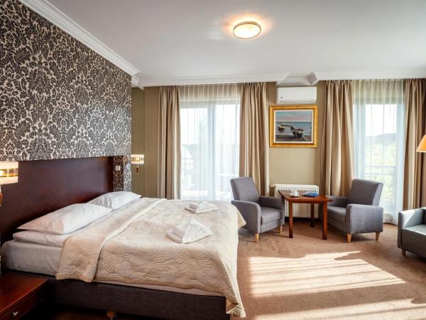 Hotel Kuracyjny Spa & Wellness : photo 2 de la chambre chambre double deluxe