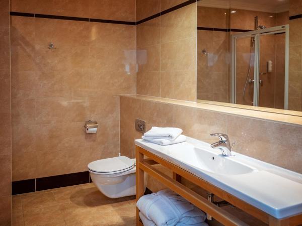 Hotel Kuracyjny Spa & Wellness : photo 4 de la chambre chambre double deluxe