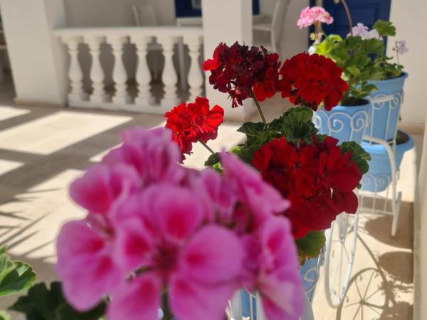 Dreams Bodrum butik hotel : photo 5 de la chambre chambre double