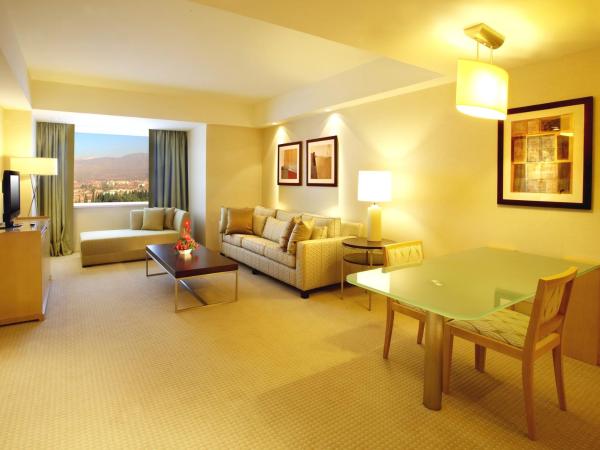 Hilton Mendoza : photo 1 de la chambre suite - vue sur montagne