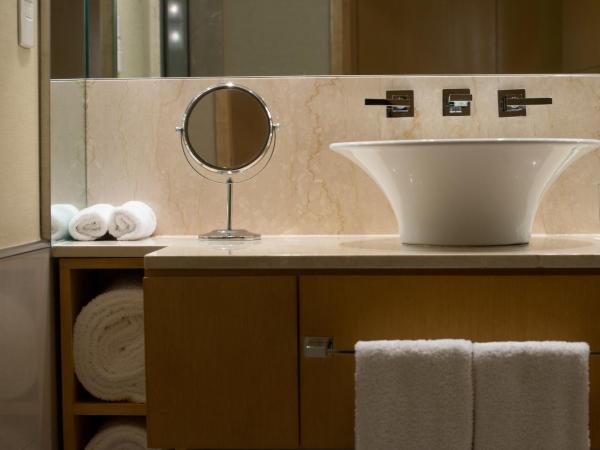 Hilton Mendoza : photo 2 de la chambre chambre lits jumeaux