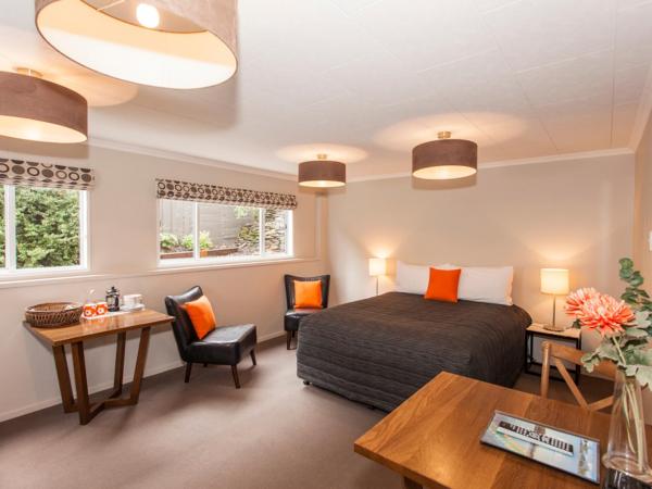 Wanaka View Motel : photo 1 de la chambre studio - sous-sol